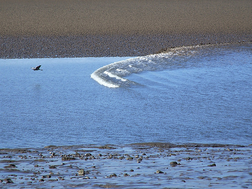 Tidal bore on the River Mersey. Photo by Colin Bell.