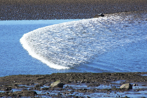 Tidal bore on the River Mersey. Photo by Colin Bell.